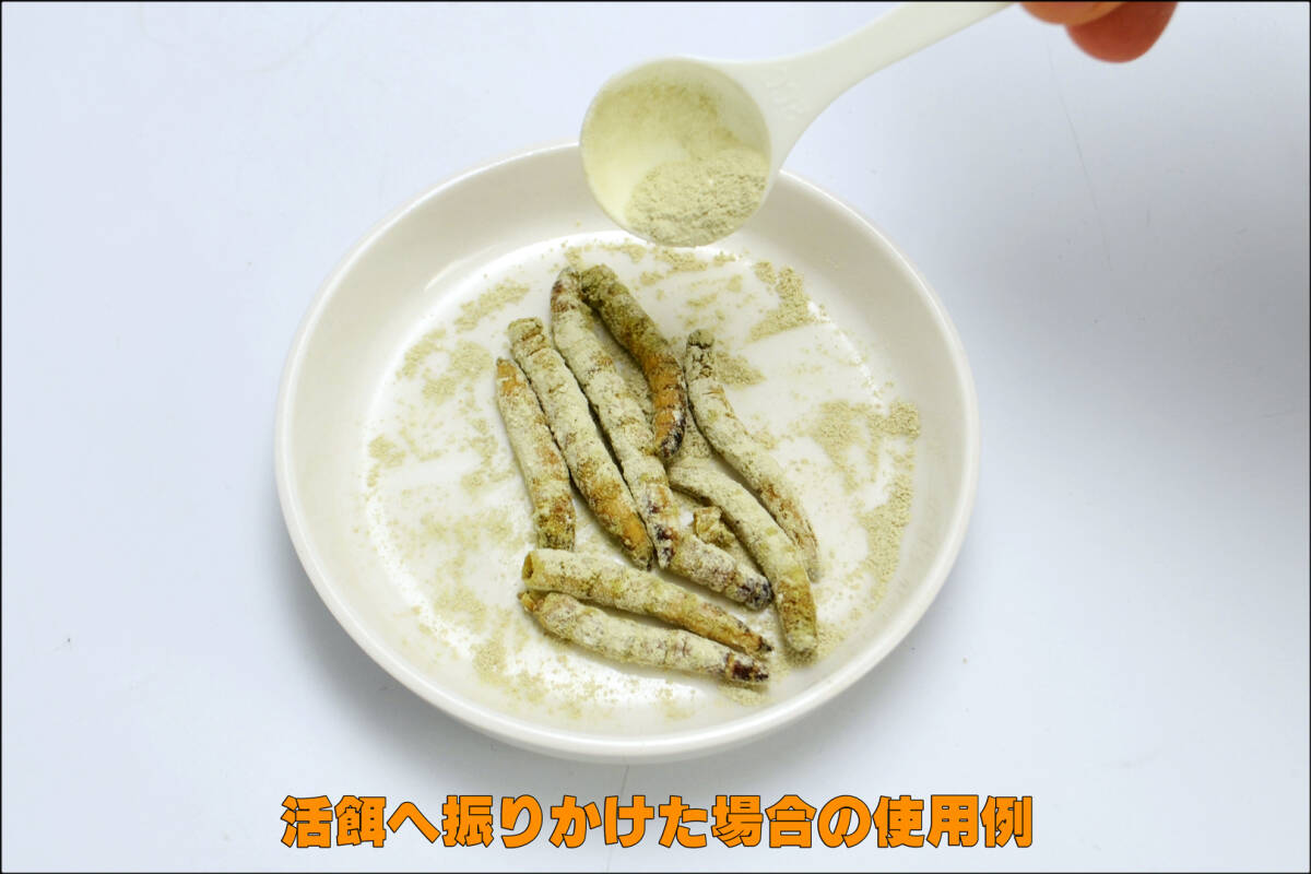 ★　乳酸菌とカルシウム60g　三晃商会(SANKO)　爬虫類用乳酸菌入りカルシウム剤　新品　消費税0円　★_画像5