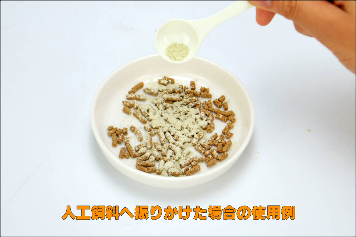 ★　乳酸菌とカルシウム60g　三晃商会(SANKO)　爬虫類用乳酸菌入りカルシウム剤　新品　消費税0円　★_画像6