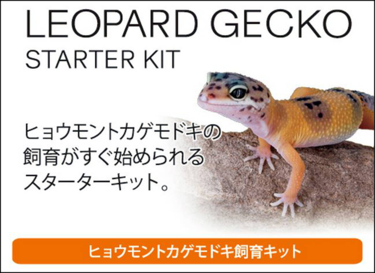 ●　レオパ飼育キットM　ジェックス(GEX)　エキゾテラ(EXOTERRA)　ヒョウモントカゲモドキの飼育セット　消費税0円　新品　●_画像6
