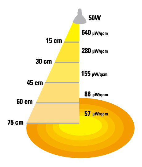 *solalium специальный замена лампочка 50Wzen acid домашнее животное домашнее животное Zone рептилии для металлогалогеновая лампа потребительский налог 0 иен новый товар *