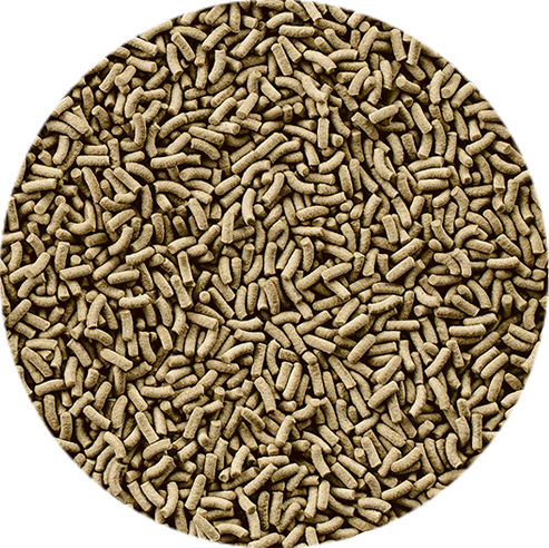 ●　レプトミン中粒70g　テトラ(Tetra)　水棲ガメ用浮上性フード　新品　消費税0円　●_画像2