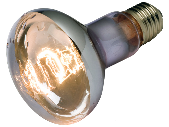 *s one p свечение защита от влаги лампа 50Wekizo tera капли воды . сильный рептилии для теплоизоляция лампочка | зеркальный лампочка потребительский налог 0 иен новый товар цена *