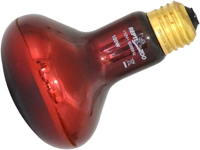 * инфракрасные лучи теплоизоляция автобус King спот лампа 100W REPTI ZOO три . association (SANKO) день и ночь двоякое применение сборник свет type рептилии для теплоизоляция лампочка новый товар потребительский налог 0 иен *