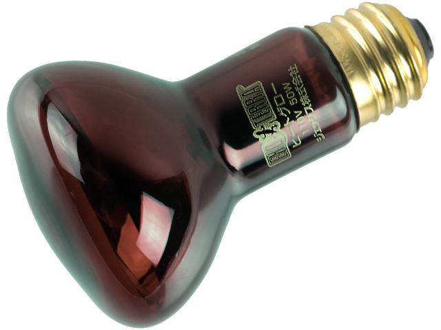 * нагрев свечение инфракрасные лучи подсветка спот лампа 50Wekizo tera рептилии для теплоизоляция лампочка | зеркальный лампочка потребительский налог 0 иен новый товар цена *