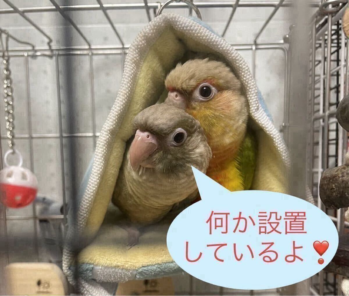 [ бесплатная доставка ]2 шт. комплект * домашнее животное обогреватель теплоизоляция лампа покрытие защита кейс сетка птица баловство предотвращение 