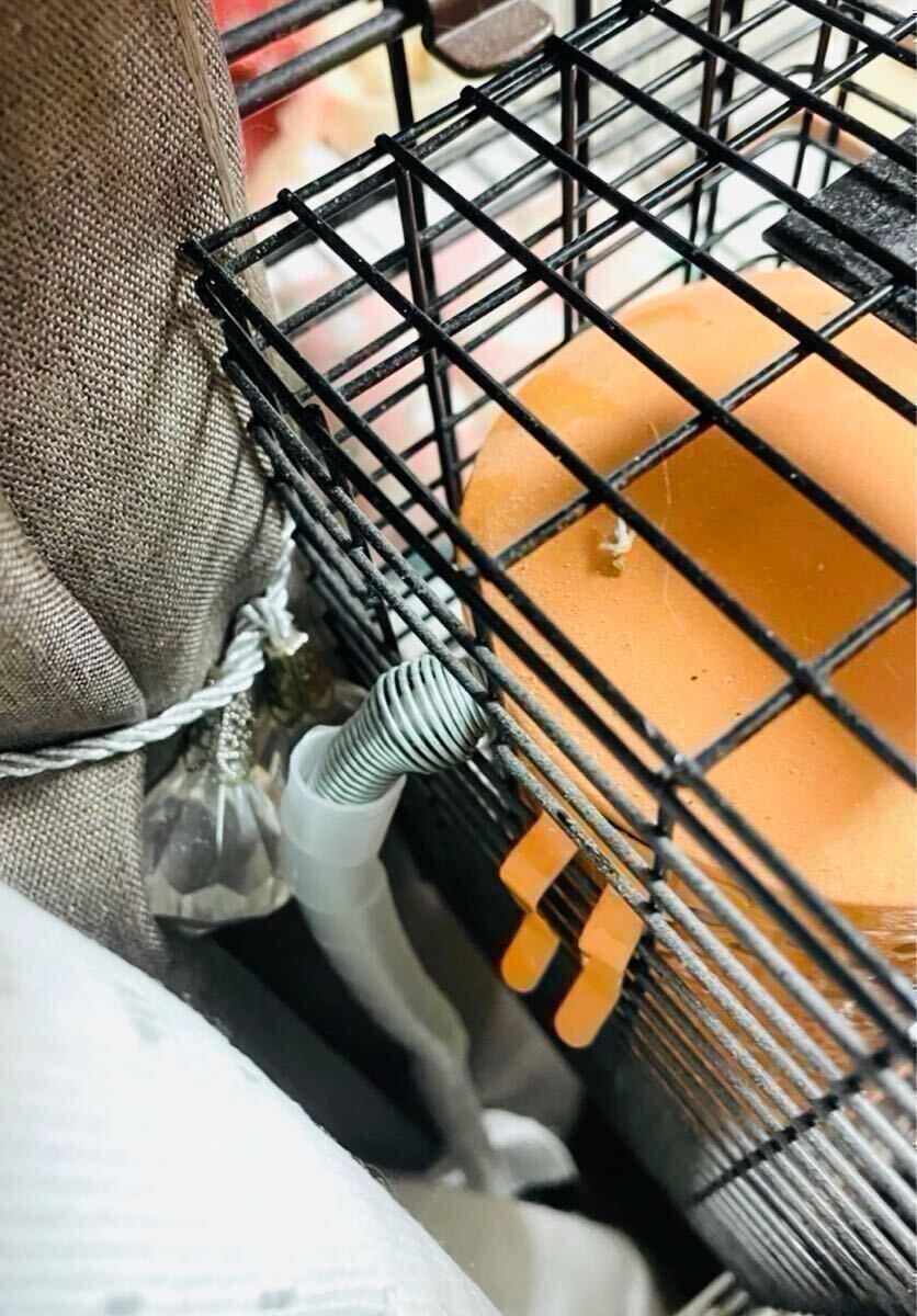 [ бесплатная доставка ]2 шт. комплект * домашнее животное обогреватель теплоизоляция лампа покрытие защита кейс сетка птица баловство предотвращение 