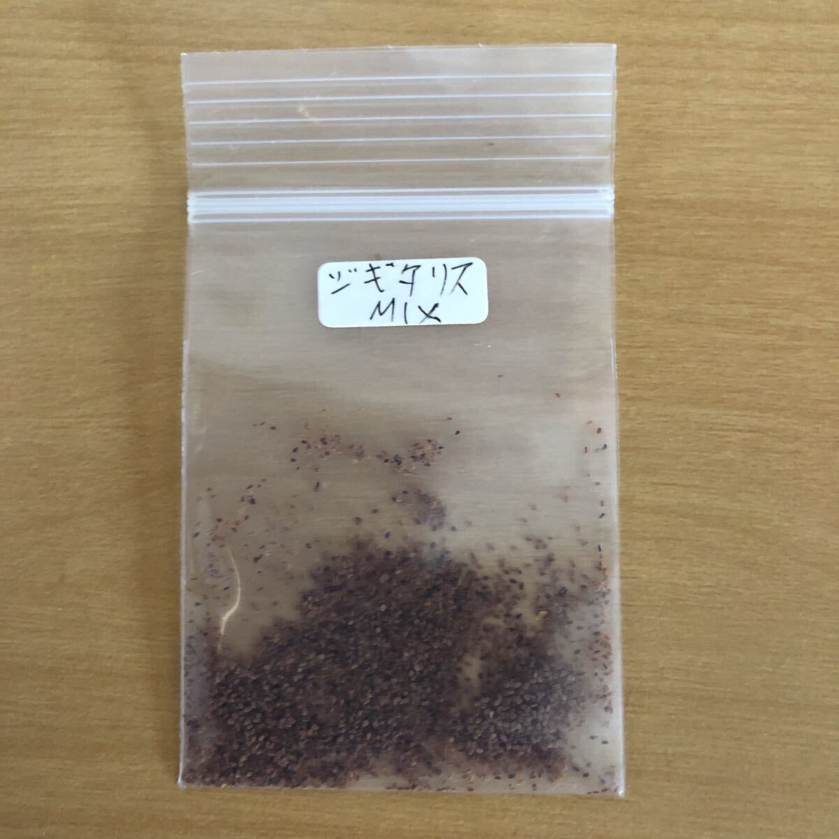 花種　ジギタリスMIX クリーム　ピンク　濃いピンク　50粒以上　宿根　多年草　北海道より_画像2