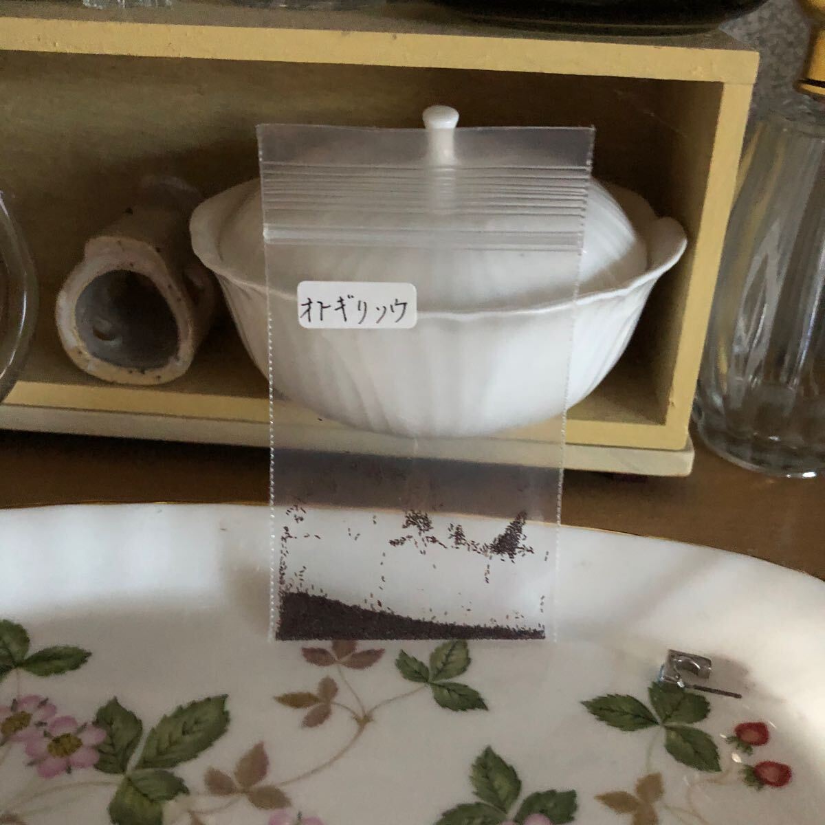 花種　オトギリソウ　野草　宿根草　薬草　約100粒？　北海道より_画像6