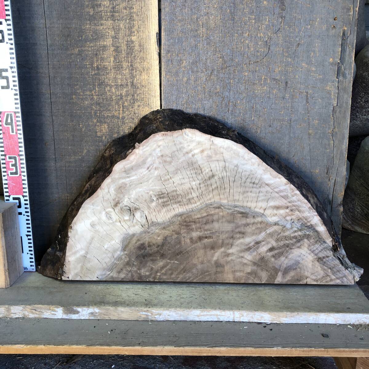 送料無料!バストゥーンウォルナット【A658H】409×~805×58mm 木工 レジン 天然木 自然素材 材木 木材 乾燥材 無垢材《銘木すずめや》_画像9