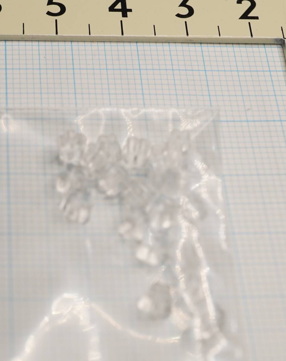 ピアス　10セット　大網てんとう虫　D666-1_画像3