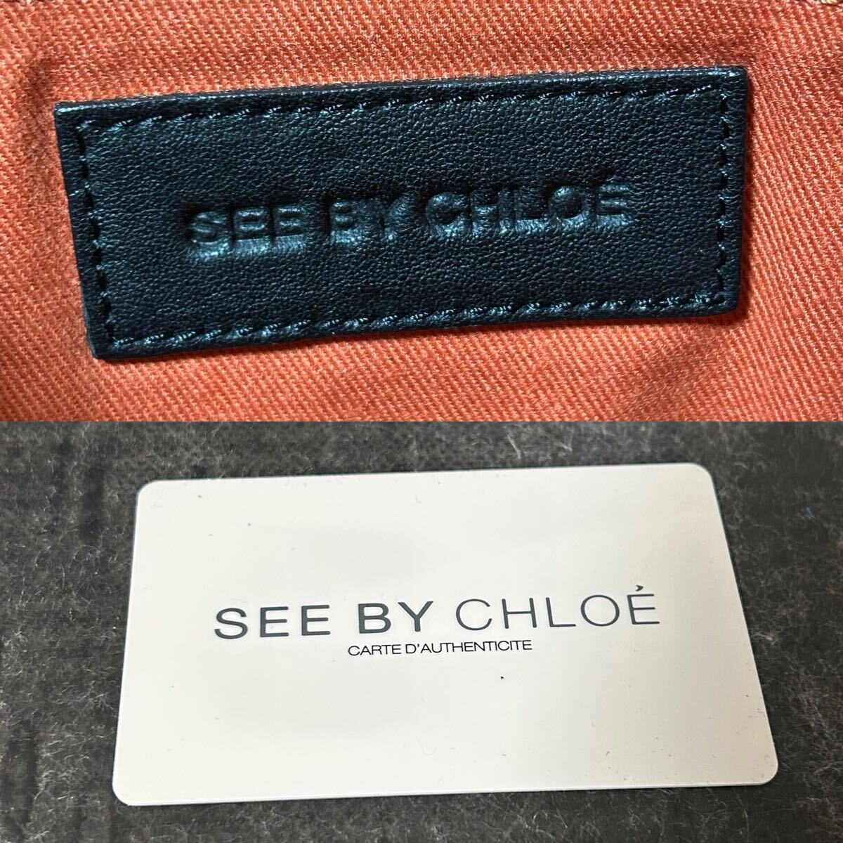 SEE BY CHLOE シーバイクロエ　ショルダーバッグ レザー　チェーン型　ブラック　＊EX_画像7