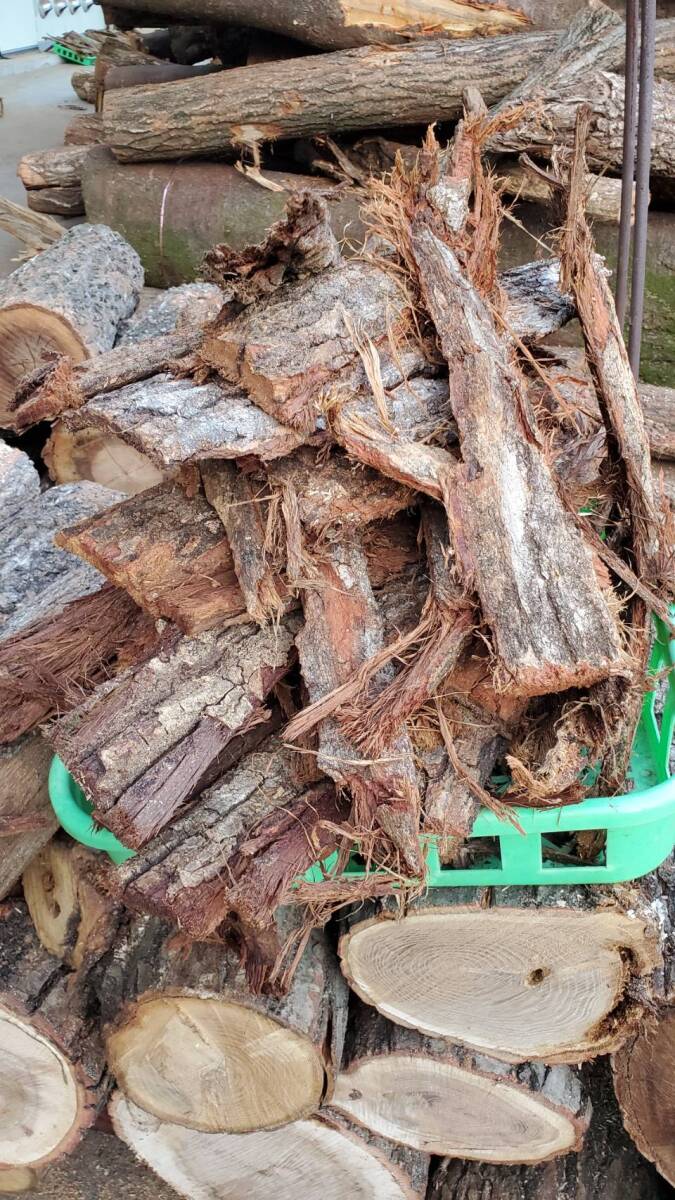 дуб конара . кожа (. дерево ) китайская капуста коробка дуб конара . кожа (. дерево ) китайская капуста коробка