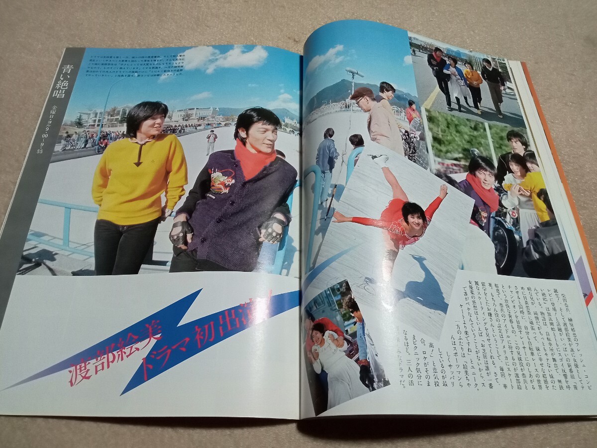 TV graph / Rav Lee / Kato Gou /. штук ./..../ Shibata ../ синий ../ sake . Вака ./ гореть жизнь / запад . блестящий ./ Edo ...Ⅵ/ Matsuda Seiko / Sakura рисовое поле ..