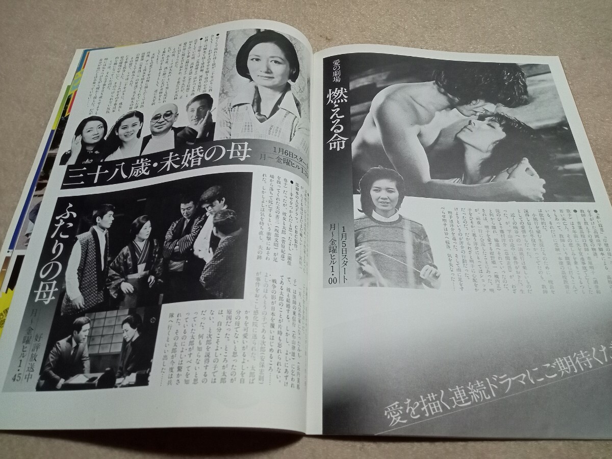 TV graph / Rav Lee / Kato Gou /. штук ./..../ Shibata ../ синий ../ sake . Вака ./ гореть жизнь / запад . блестящий ./ Edo ...Ⅵ/ Matsuda Seiko / Sakura рисовое поле ..