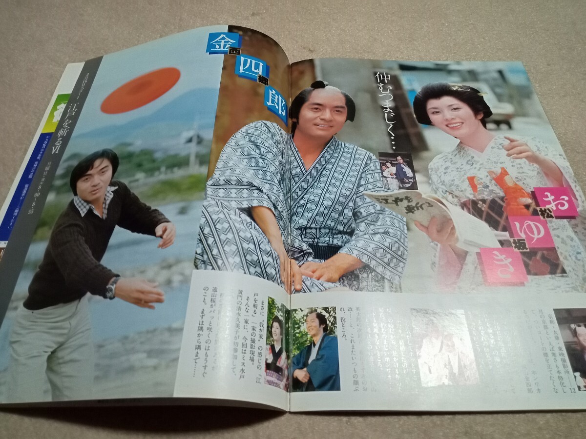 TV graph / Rav Lee / Kato Gou /. штук ./..../ Shibata ../ синий ../ sake . Вака ./ гореть жизнь / запад . блестящий ./ Edo ...Ⅵ/ Matsuda Seiko / Sakura рисовое поле ..