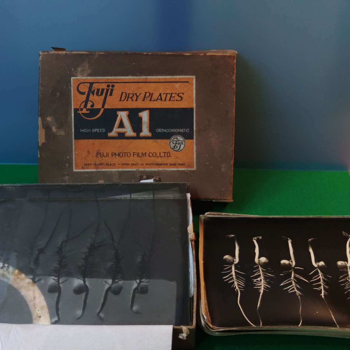 「Fuji Dry Plates A1」乾板（ドライプレート）写真フィルム① 昭和レトロ_画像1