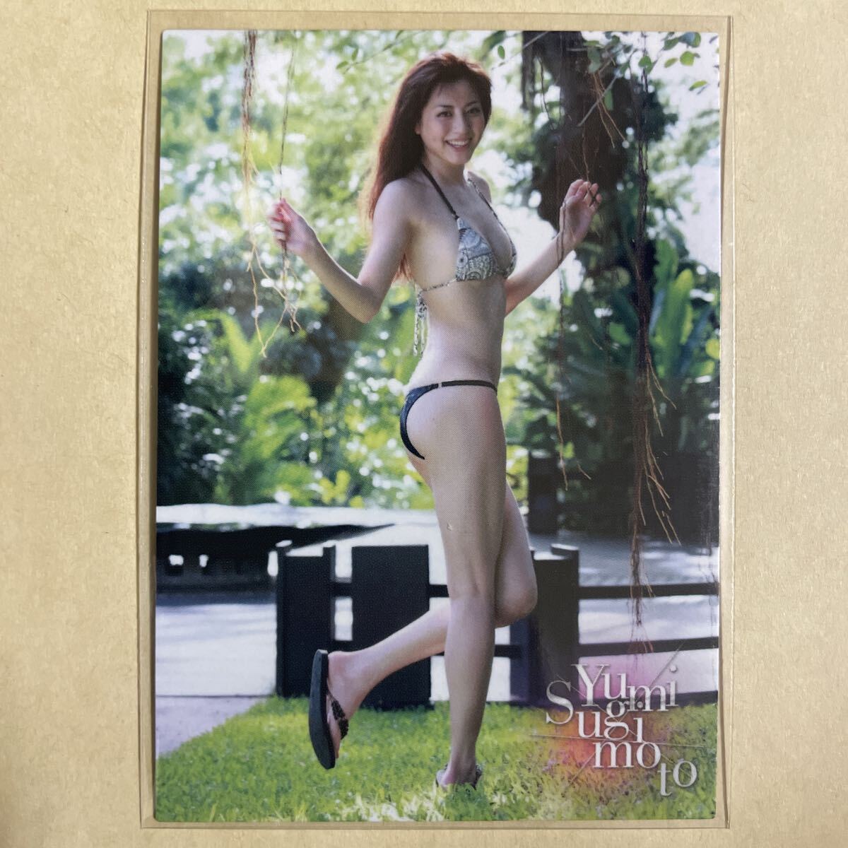  криптомерия штук в наличии прекрасный 2011bom коллекционные карточки идол gravure карта купальный костюм бикини 070 звезда коллекционная карточка BOMB