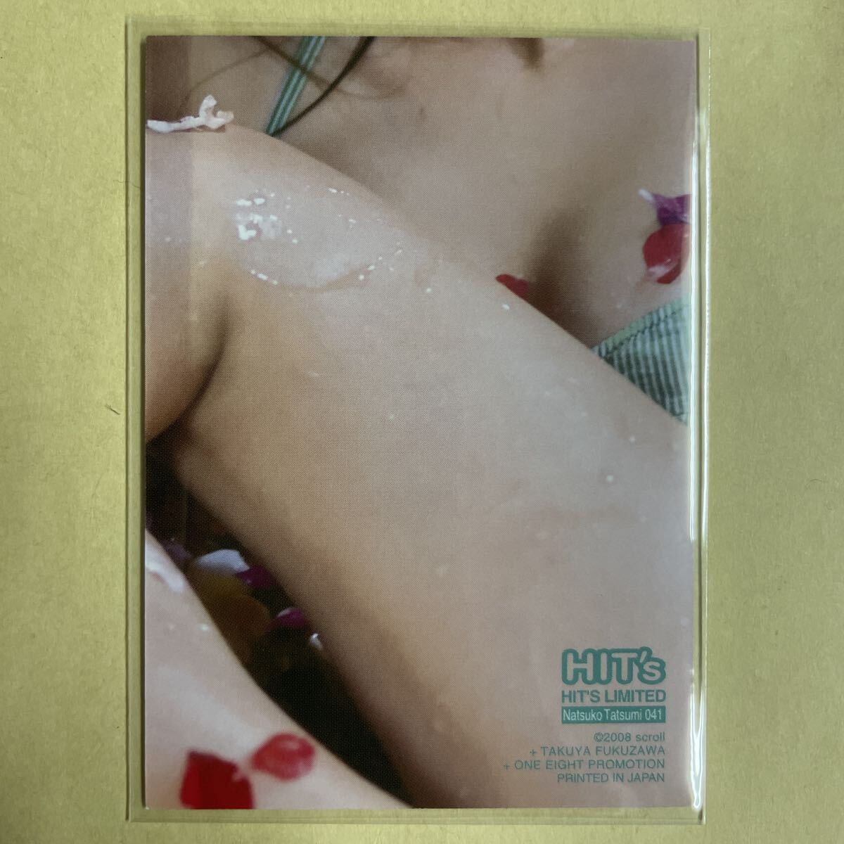 ... столица .2008hitsu коллекционные карточки идол gravure карта купальный костюм бикини 041 звезда коллекционная карточка HIT's