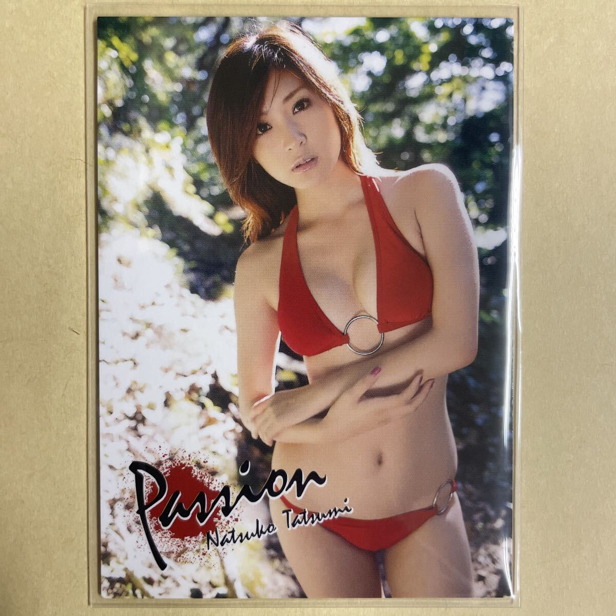 ... столица .2008hitsu коллекционные карточки идол gravure карта купальный костюм бикини 066 звезда коллекционная карточка HIT's