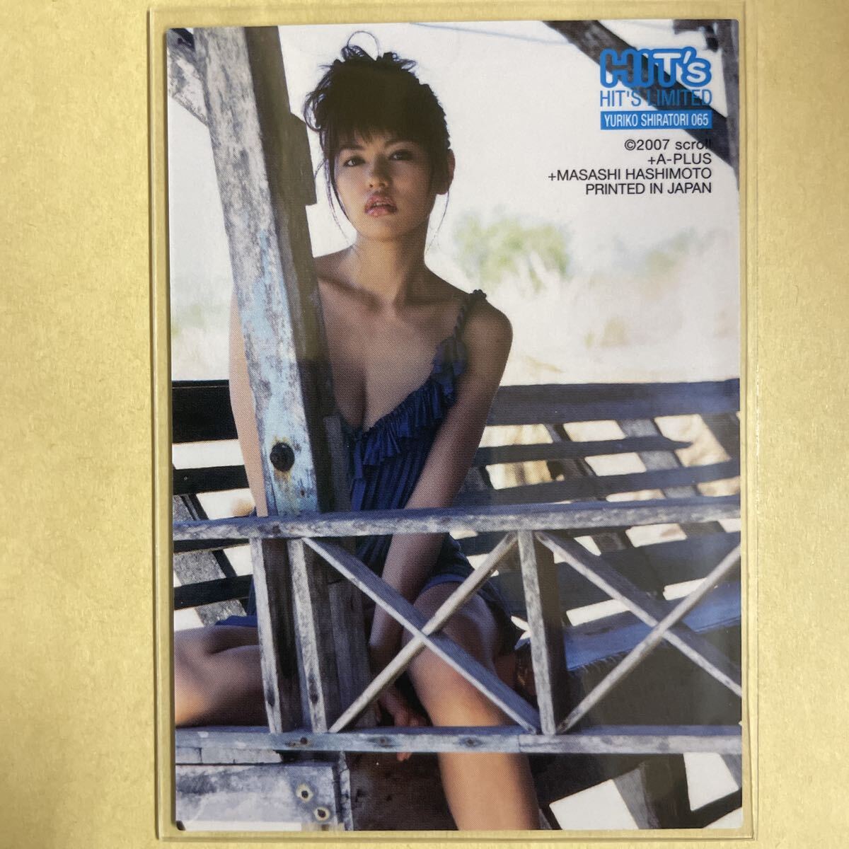  лебедь 100 ..2007hitsu коллекционные карточки идол gravure карта купальный костюм бикини 065 звезда коллекционная карточка Kamen Rider DenO HIT's