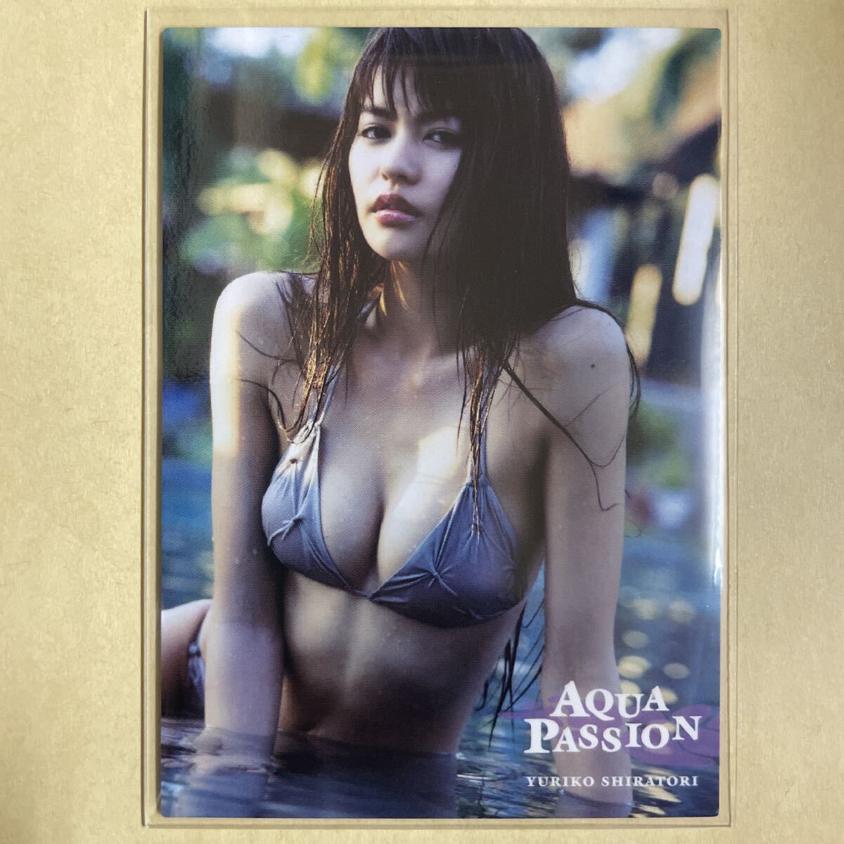  лебедь 100 ..2007hitsu коллекционные карточки идол gravure карта купальный костюм бикини 070 звезда коллекционная карточка Kamen Rider DenO HIT's