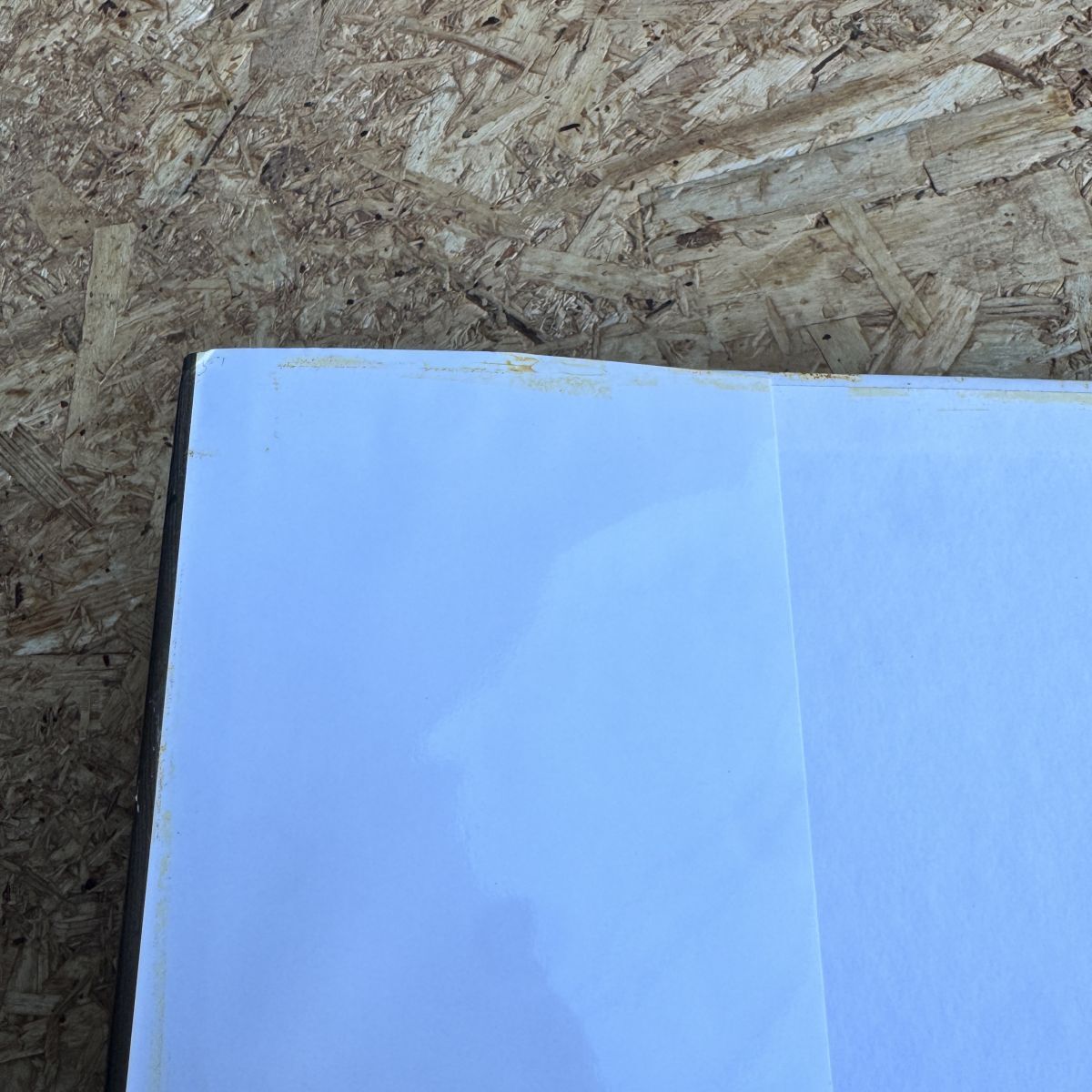 写真集 星遙子　写真集 fandango ※テープ跡あり_画像6