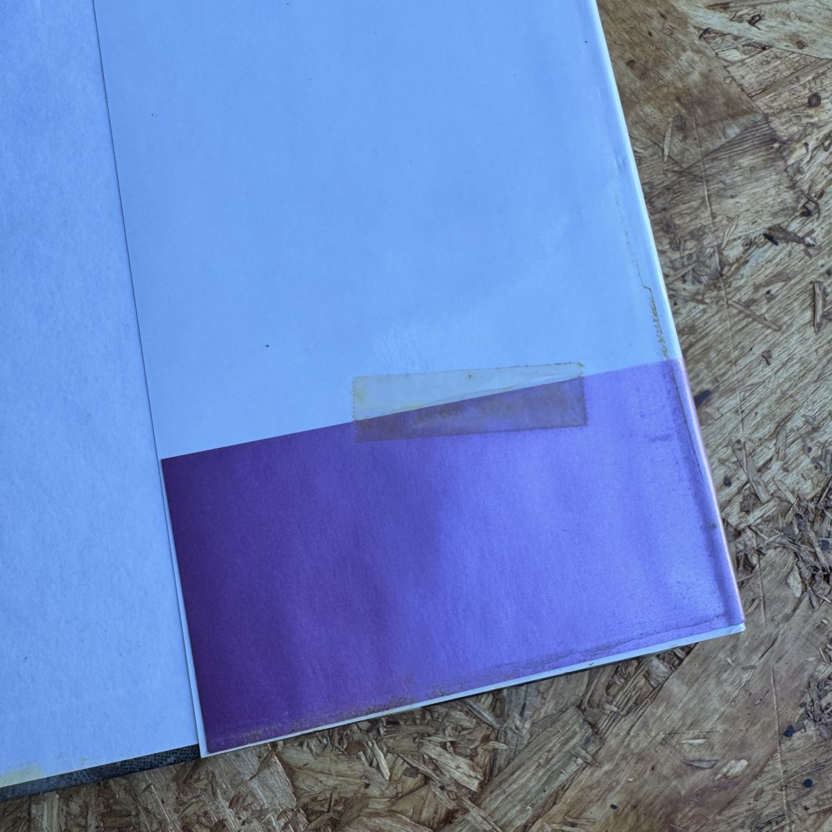 写真集 星遙子　写真集 fandango ※テープ跡あり_画像8