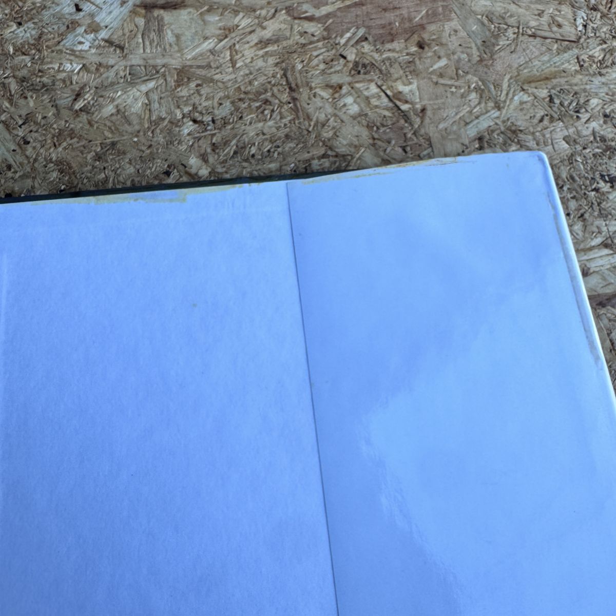 写真集 星遙子　写真集 fandango ※テープ跡あり_画像10