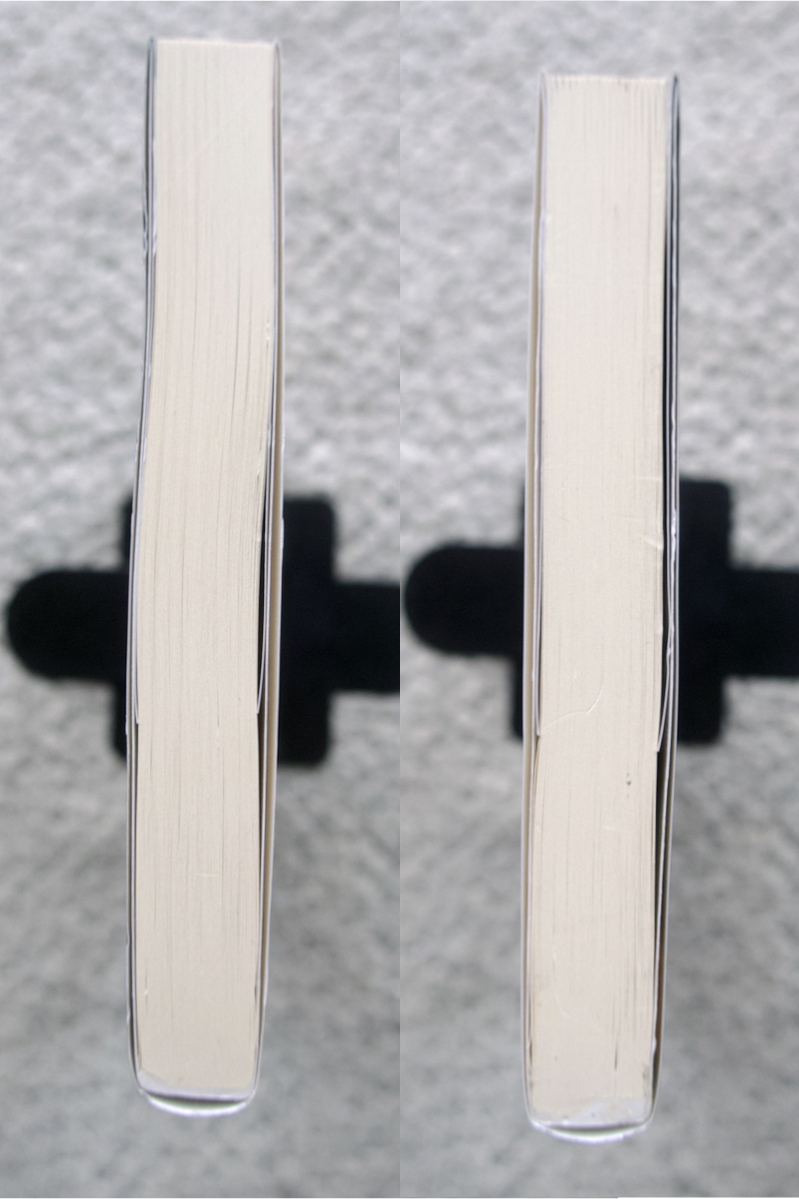 ベルクソン哲学の遺言 (講談社学術文庫) 前田英樹_画像7