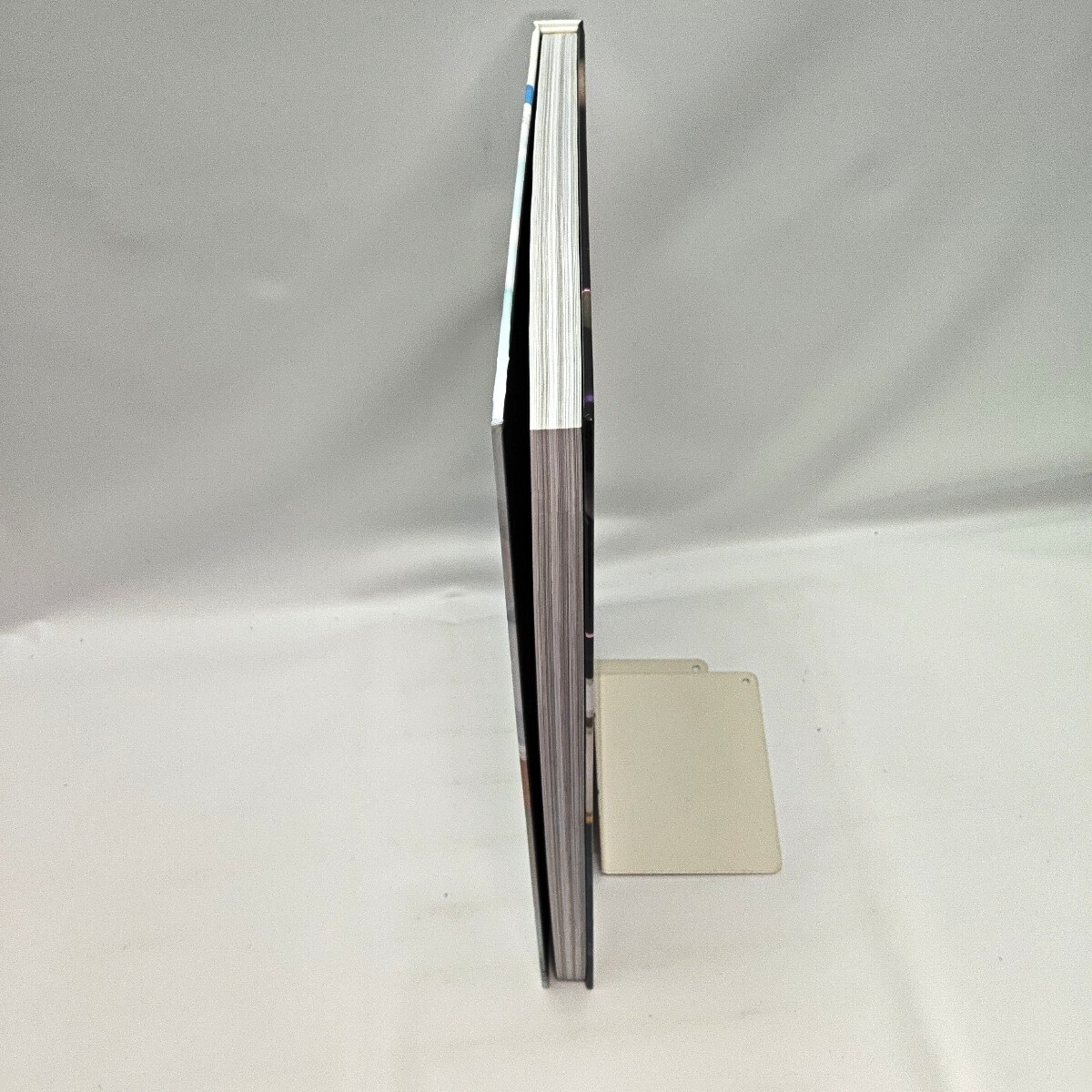 椿野ゆうこ大百科事典 写真集 サイン入り_画像5