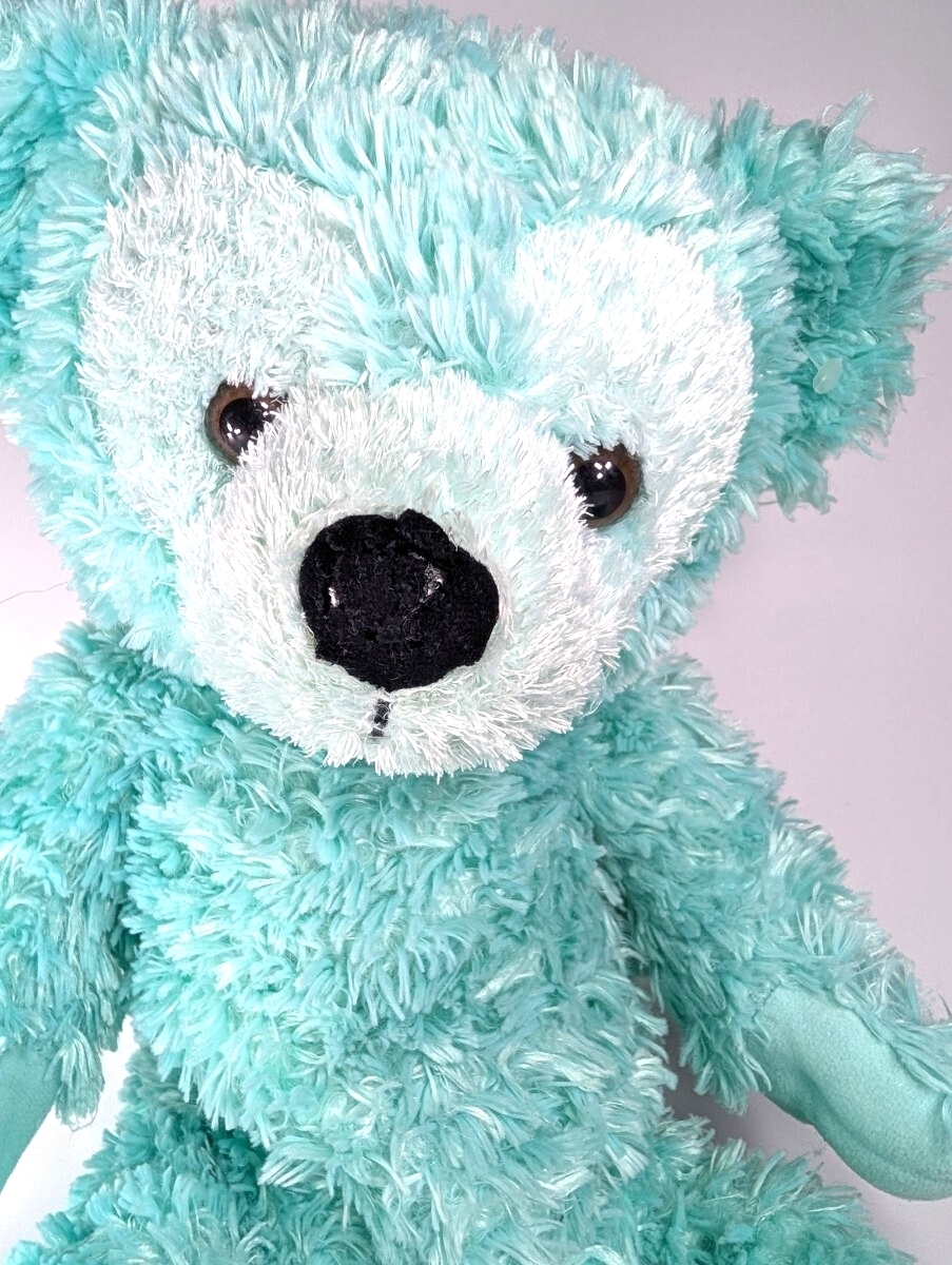 【希少/タグ付】WDW ディズニーベア ミント 水色 ぬいぐるみ / 2002-04年 初期 初代ダッフィー 元祖 USA DISNEY BEAR MINT_画像2