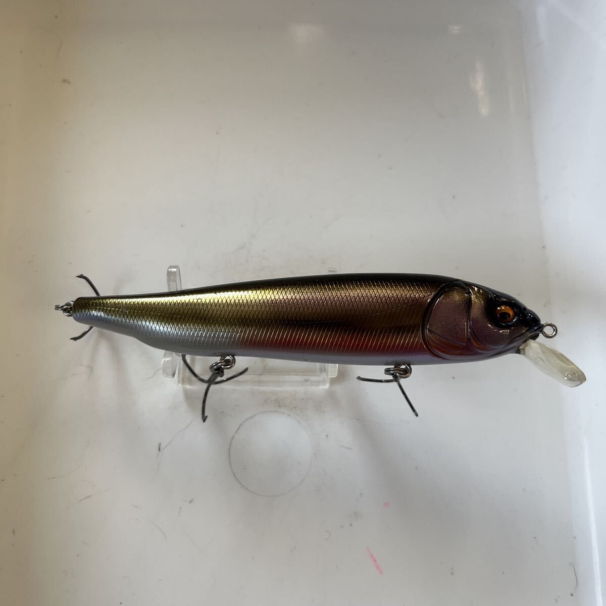 メガバス　ラテス②_画像3