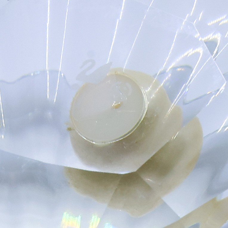 ■ 1円 ~ 正規 美品 ■ スワロフスキー Swarovski ■ 貝と真珠 ラージ 14389 ■ シェル パール クリスタル 置物 フィギュア プレゼント_画像5