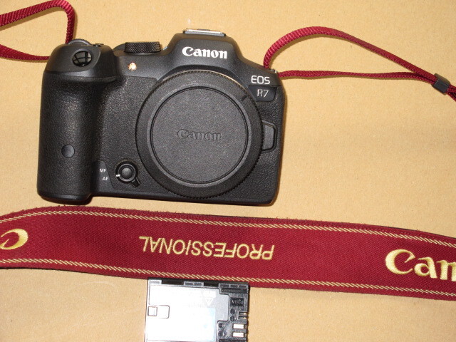 EOS R7 [ корпус APS-C размер беззеркальный камера 