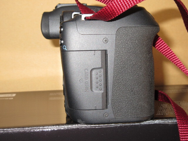 EOS R7 [ корпус APS-C размер беззеркальный камера 