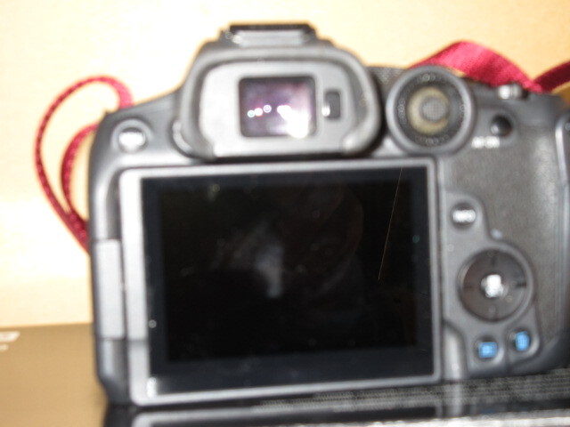 EOS R7 [ корпус APS-C размер беззеркальный камера 