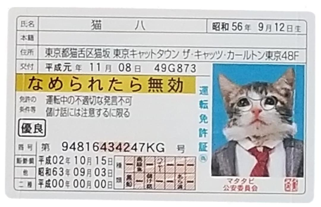 なめんなよカード２コレクション_画像4