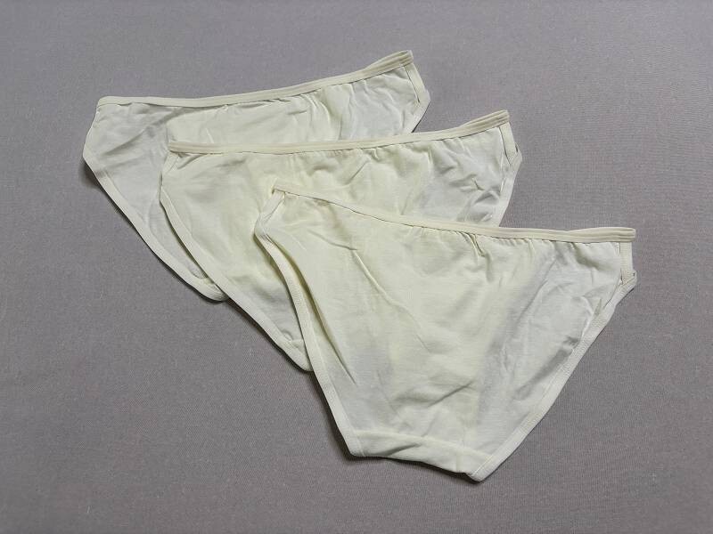 225201☆新品☆レディースショーツ　ＸＬ３枚Set☆送料無料_画像2