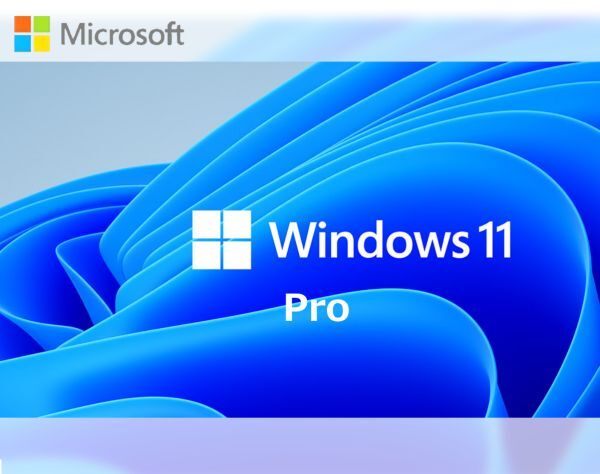 Windows 11 Professional Pro канал ключ [Microsoft] 1PC/ загрузка версия .. лицензия * выпуск на японском языке 