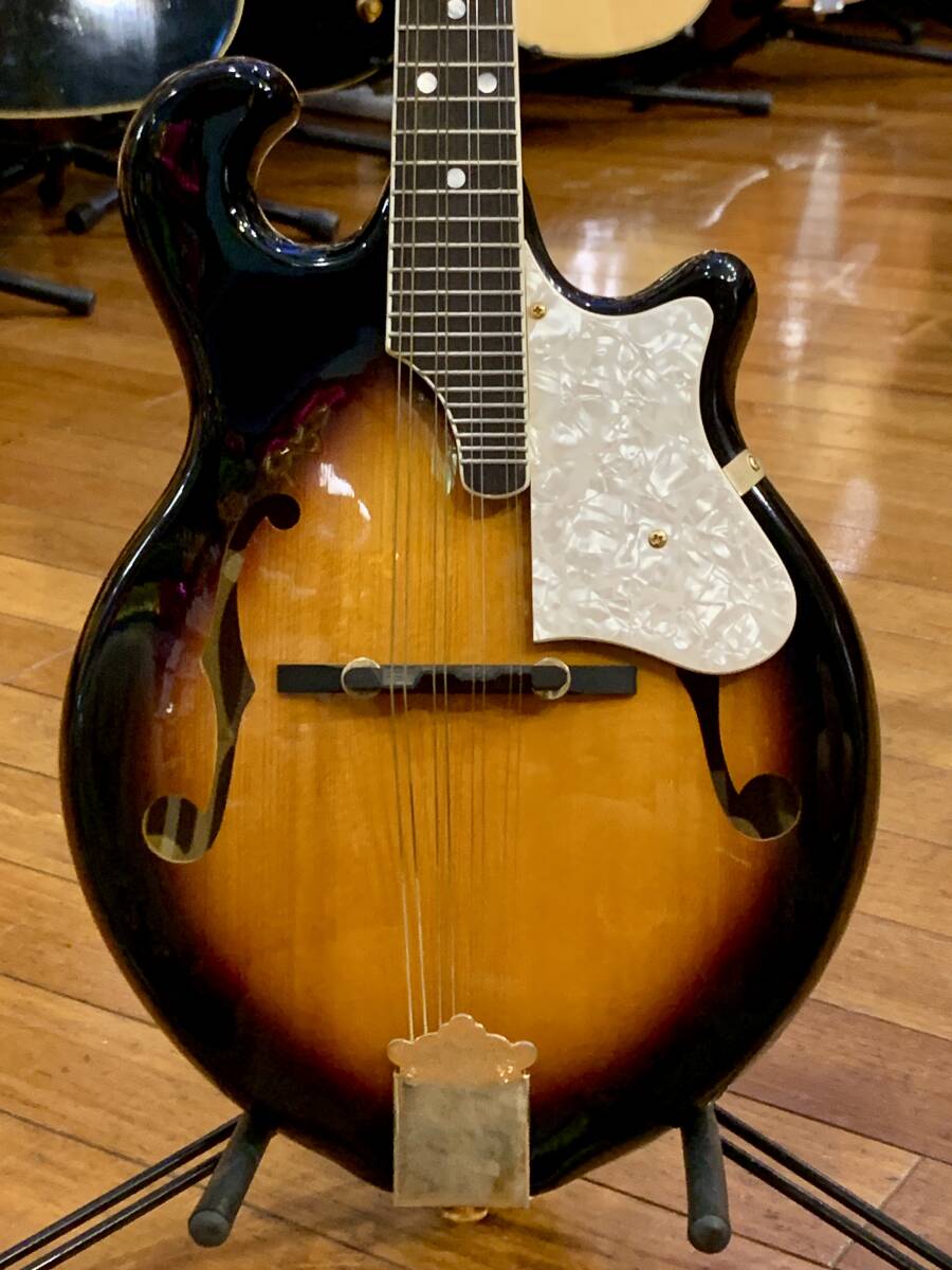 [ б/у товар ] Morris( Morris ) / FM-800 TS( мандолина )w/Hard Case