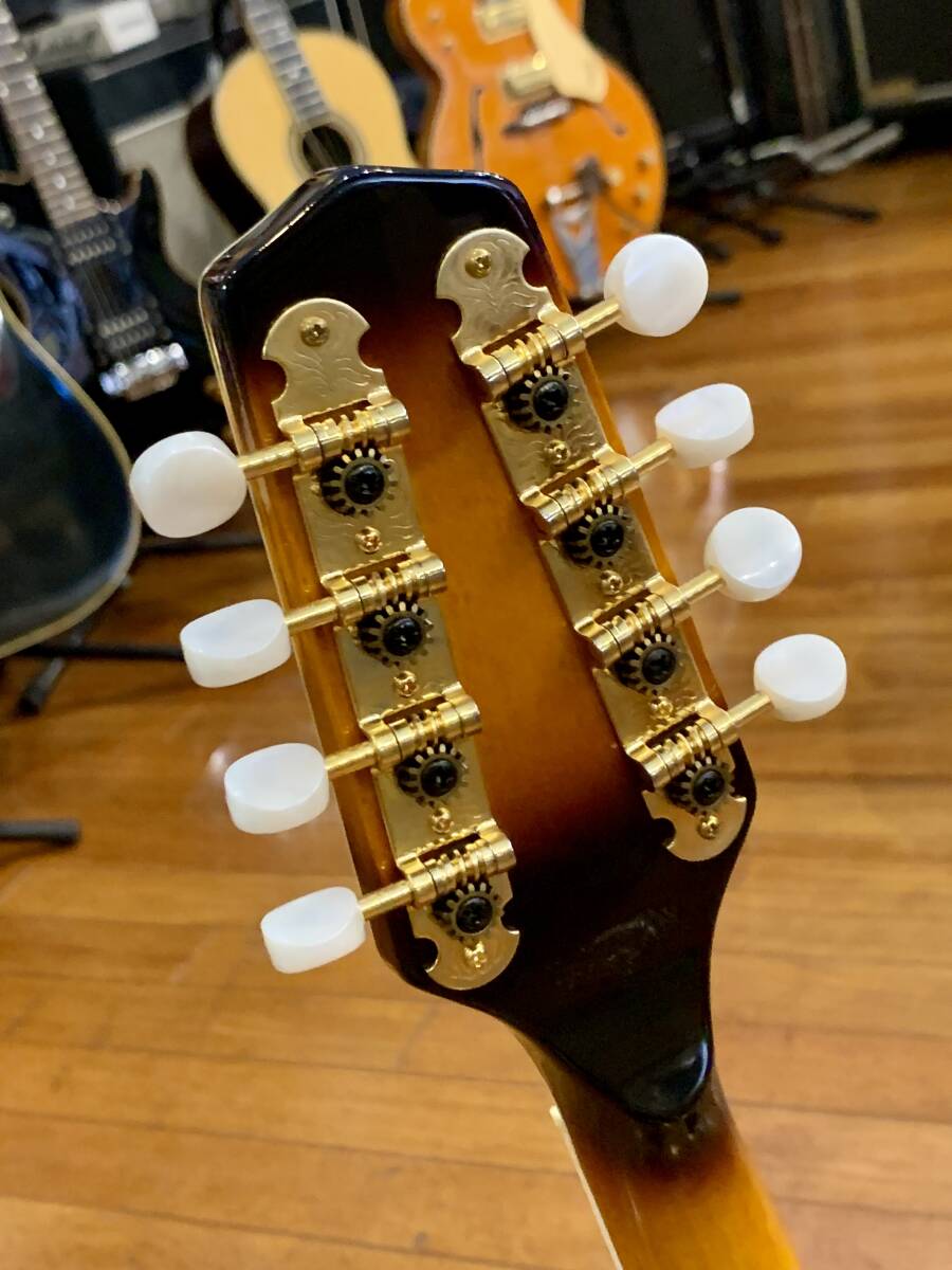 [ б/у товар ] Morris( Morris ) / FM-800 TS( мандолина )w/Hard Case