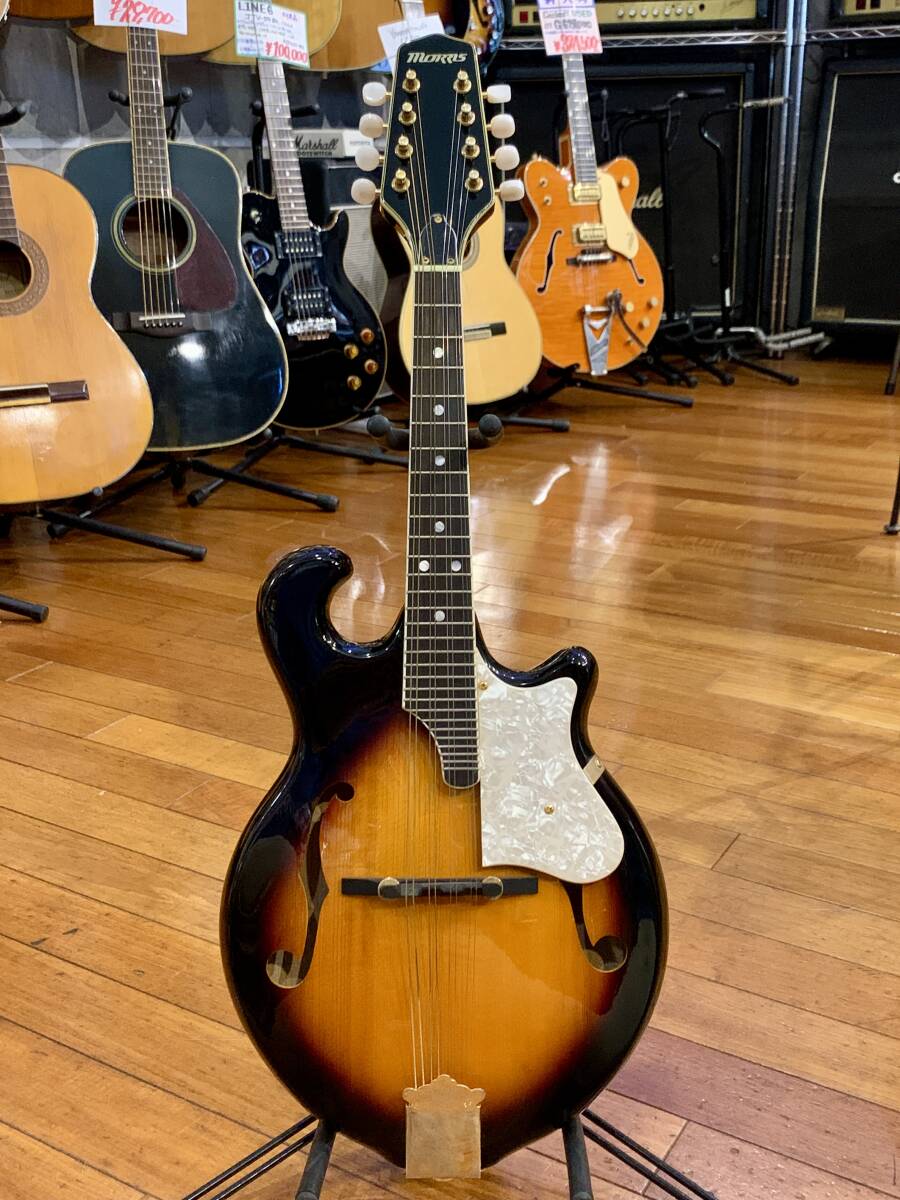 [ б/у товар ] Morris( Morris ) / FM-800 TS( мандолина )w/Hard Case