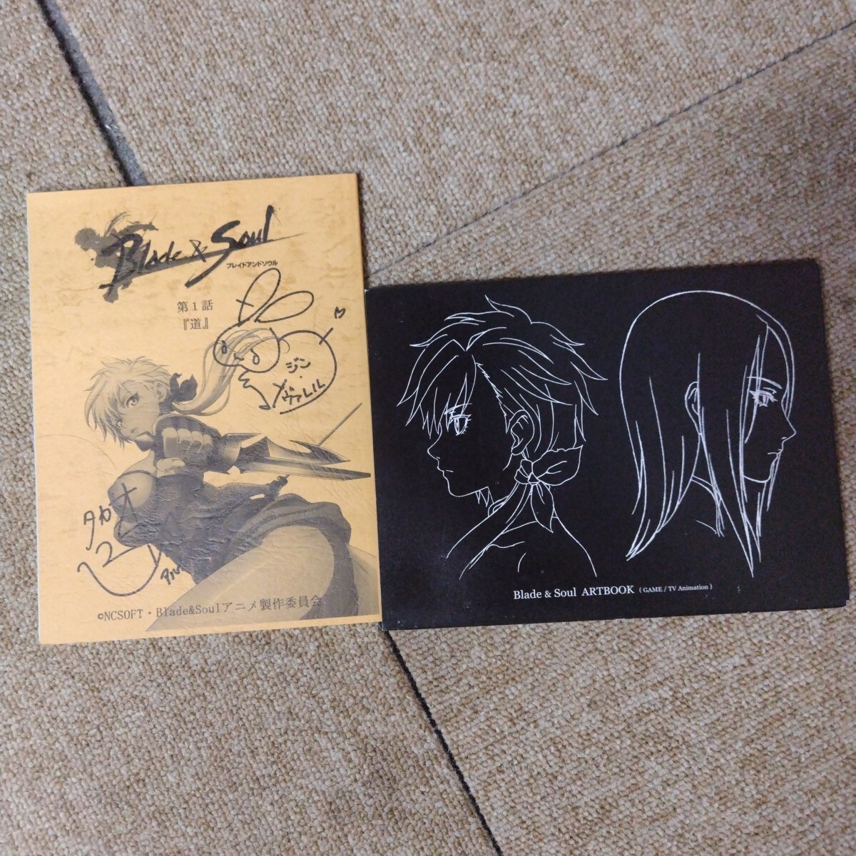 ブレイドアンドソウル プレミアムキット初回版 Package for Windows インターネット専用 DVD-ROM NCSOFT_画像6