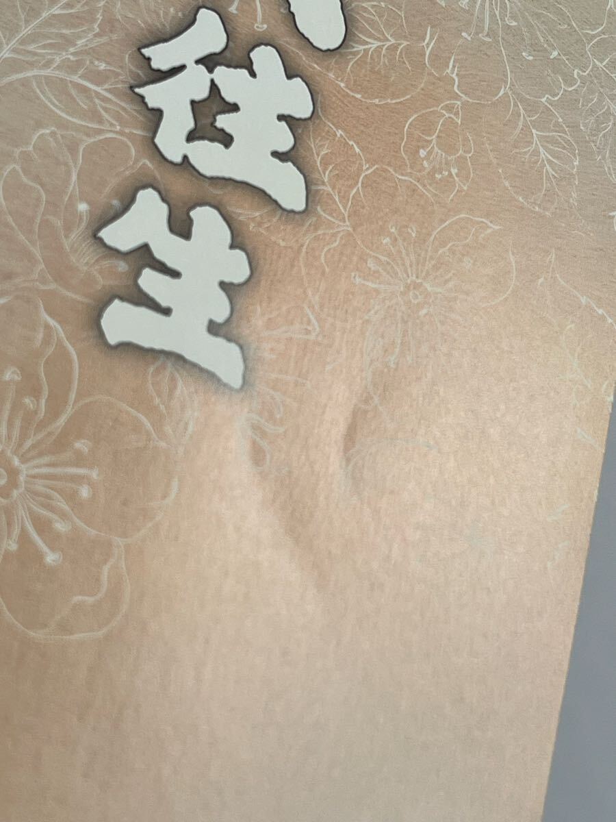 大往生 森繁久彌 DVD_画像4