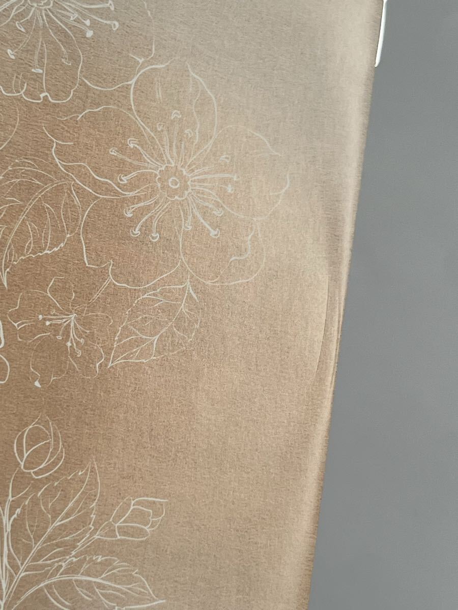 大往生 森繁久彌 DVD_画像5