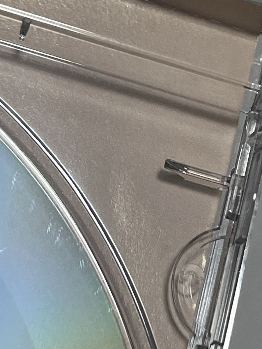 Any Trouble Where Are All the Nice Girls?_画像10