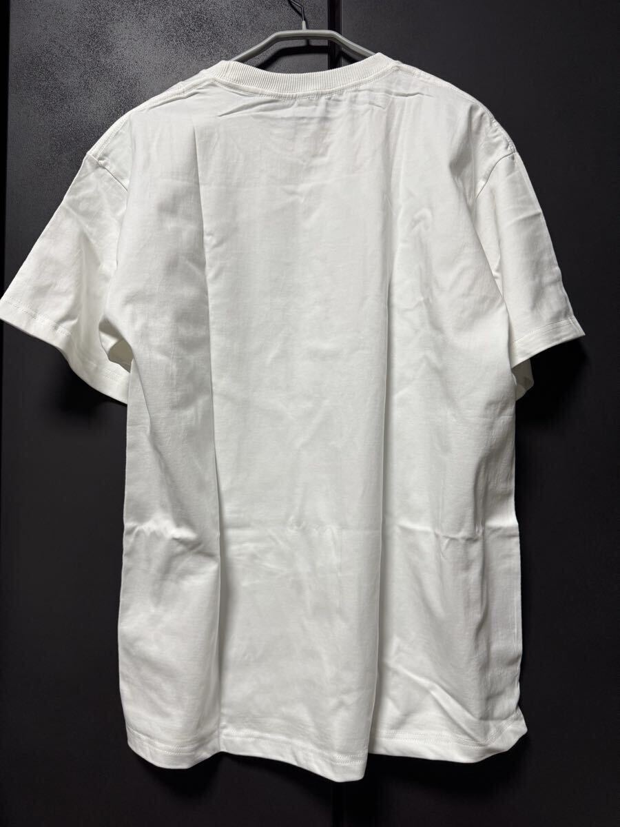 RHCP_NIRVANA_PEARL JAM T_shits XL Tagless RED HOT CHILI PEPPERSre Chile Rock RAGE Linkin Park Limp KORN