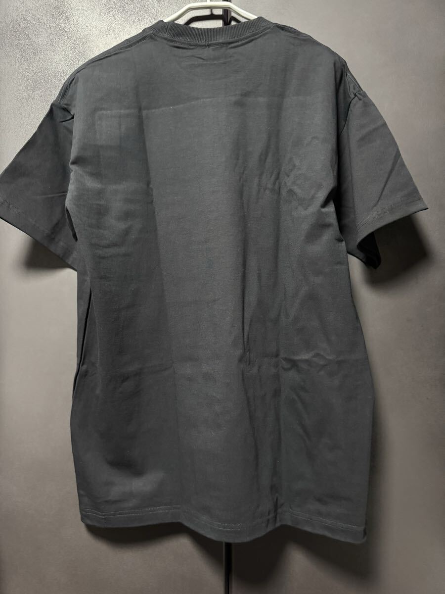 OASIS _ или sisT_shirts XL Tagless UK Rock Noel Britpop Suede BLUR Radiohead Manic Street Preachers Pulp