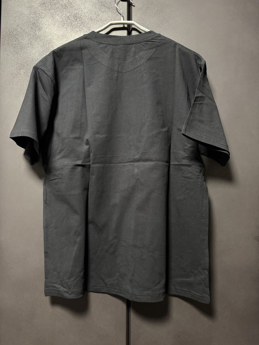 Green Day _ футболка XL Tagless зеленый teiPunk Rock American Idiot NOFX Offspring RANCID No Use for a Name Bad Religion