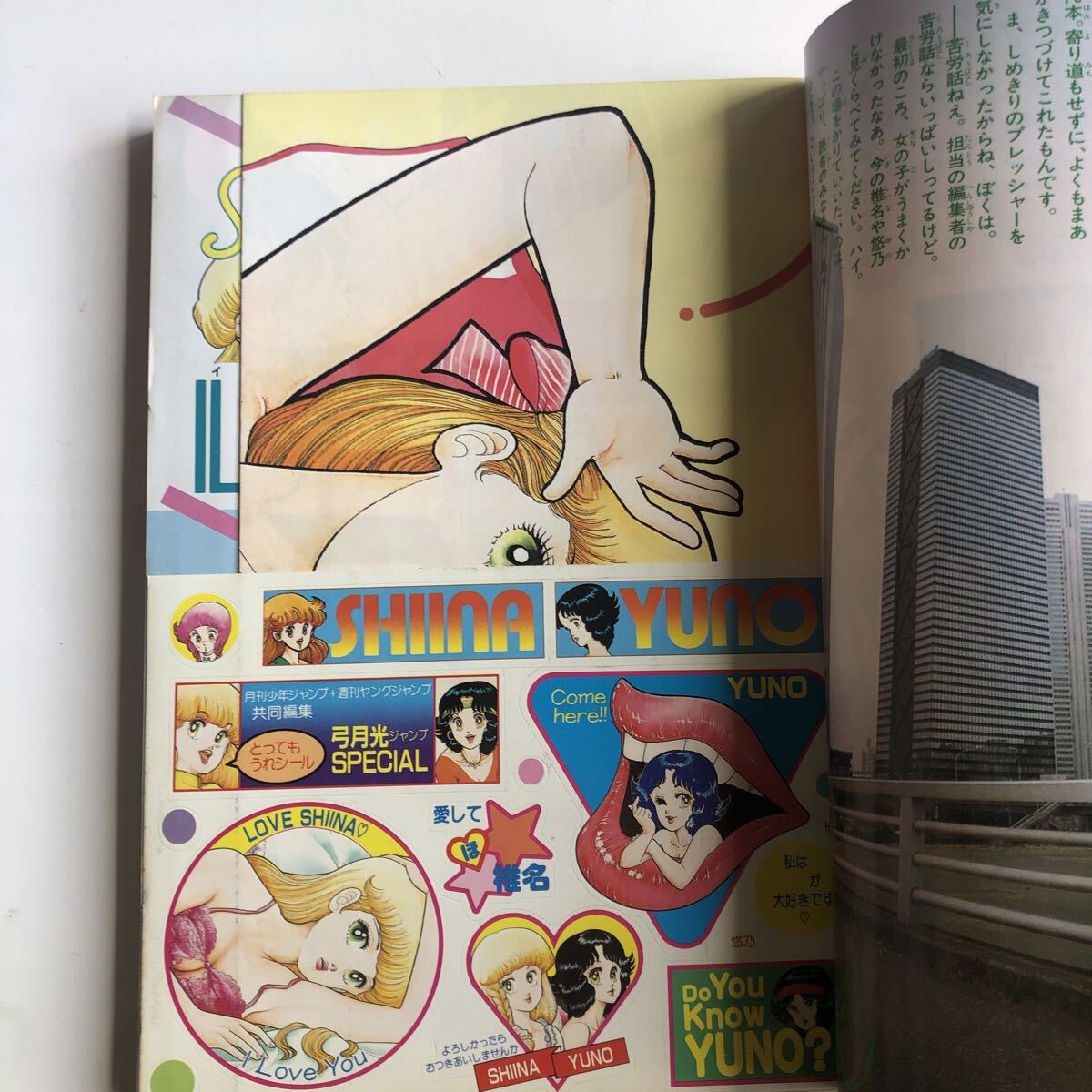 смычок месяц свет Jump SPECIAL/ ежемесячный Shonen Jump еженедельный Shonen Jump сотрудничество редактирование 1984 год / дополнение 3D очки есть подлинная вещь